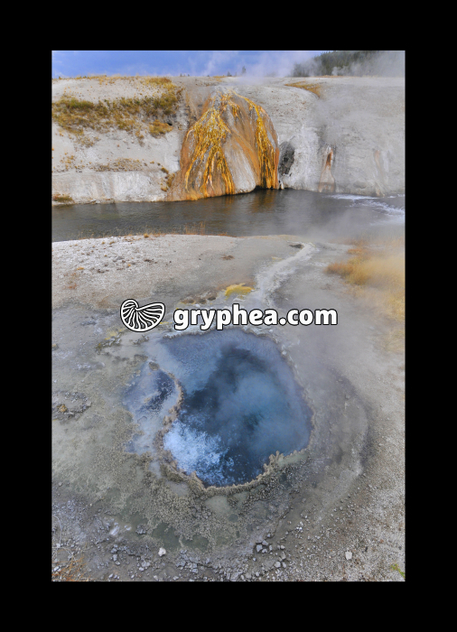 Sources hydrothermales (Yellowstone NP, USA) - gryphea.com